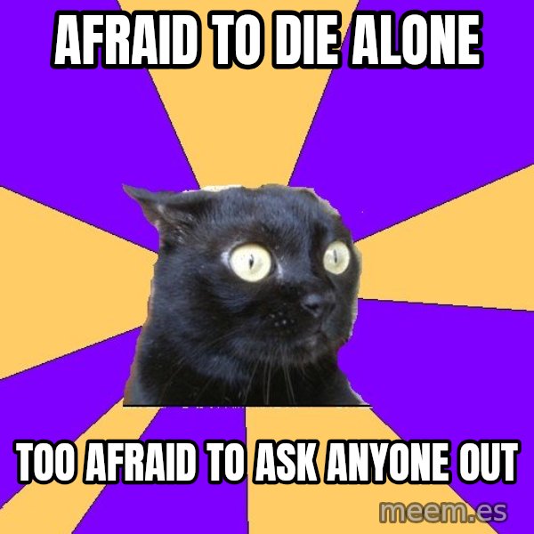 Anxiety Cat meme: Afraid to die alone / Too afraid to ask anyone out