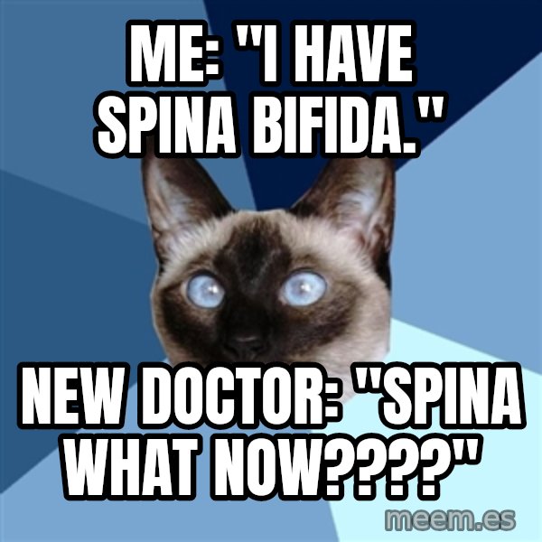 Chronic Illness Cat meme: Me: "I have spina bifida." / New Doctor: "Spina What Now????"