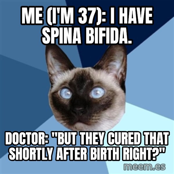 Chronic Illness Cat meme: Me (I'm 37): I have Spina Bifida. / Doctor: "But they cured that shortly after birth right?"