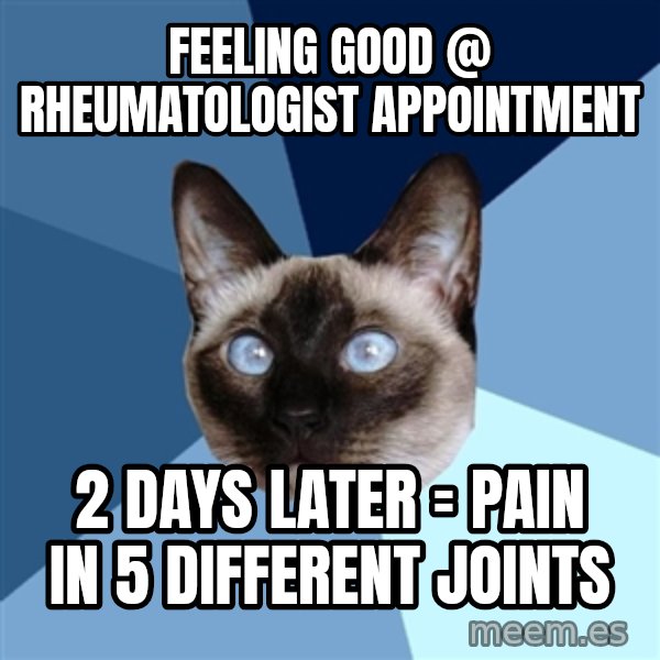 Chronic Illness Cat meme: Feeling good @ Rheumatologist appointment / 2 days later = Pain in 5 different joints