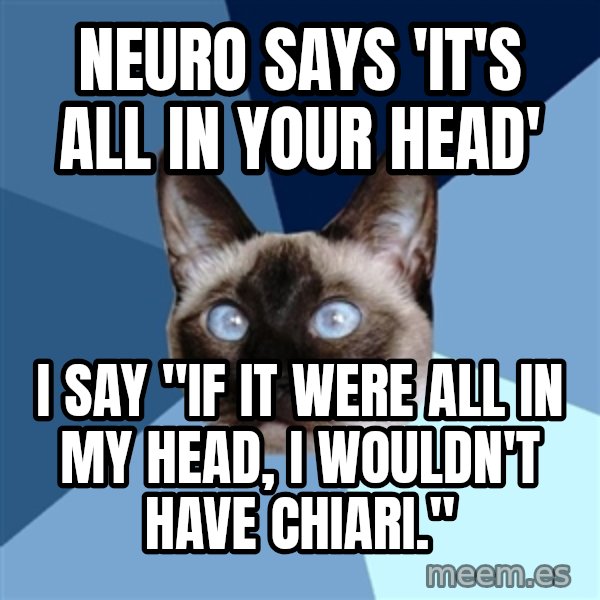 Chronic Illness Cat meme: Neuro says 'It's All in Your Head' / I say "If it were all in my head, I wouldn't have Chiari."