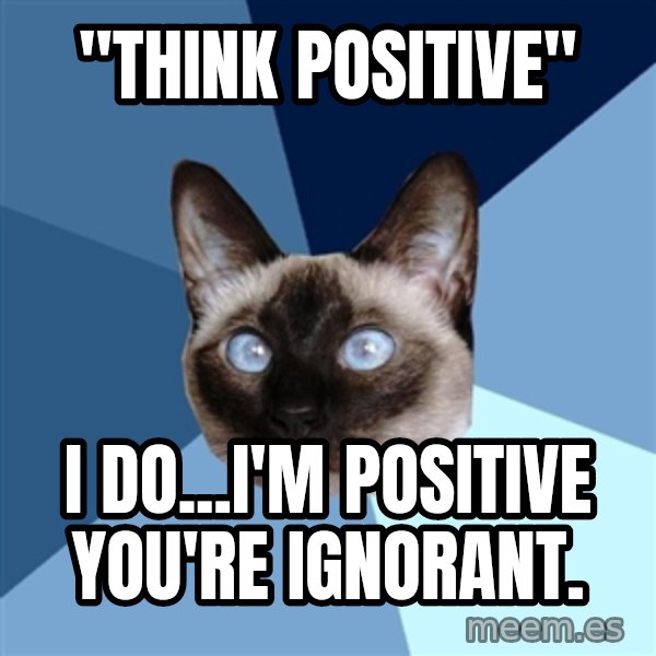 Chronic Illness Cat meme: "Think positive" / I do...I'm positive you're ignorant.