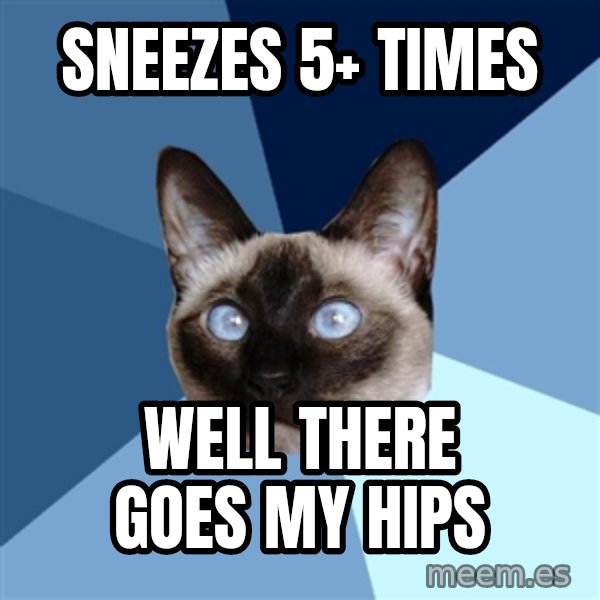 Chronic Illness Cat meme: Sneezes 5+ times / well there goes my hips