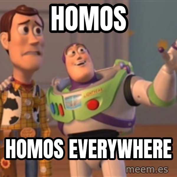 Tseverywhere meme: HOMOS / HOMOS EVERYWHERE