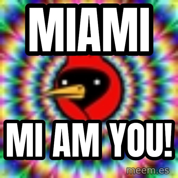 Omsk Crow meme: MIAMI / MI AM YOU!
