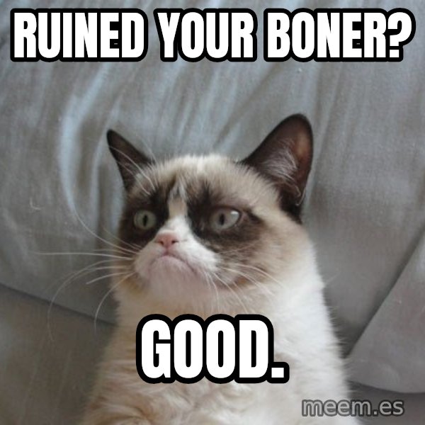 Grumpy cat good meme: ruined your boner? / Good.