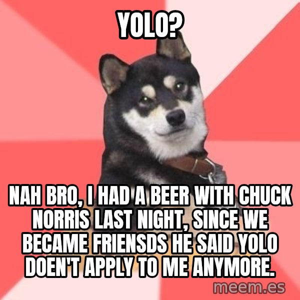 Cool Dog meme: yolo? / nah bro, i had a beer with chuck norris last night, since we became friensds he said yolo doen't apply to me anymore.