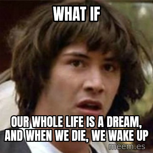 what if meme meme: what if / our whole life is a dream, and when we die, we wake up