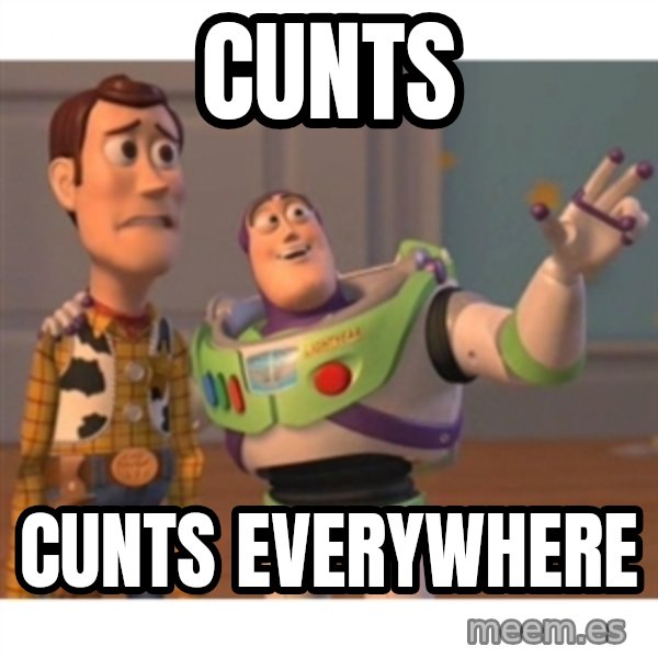 Toy story meme: cunts / cunts everywhere