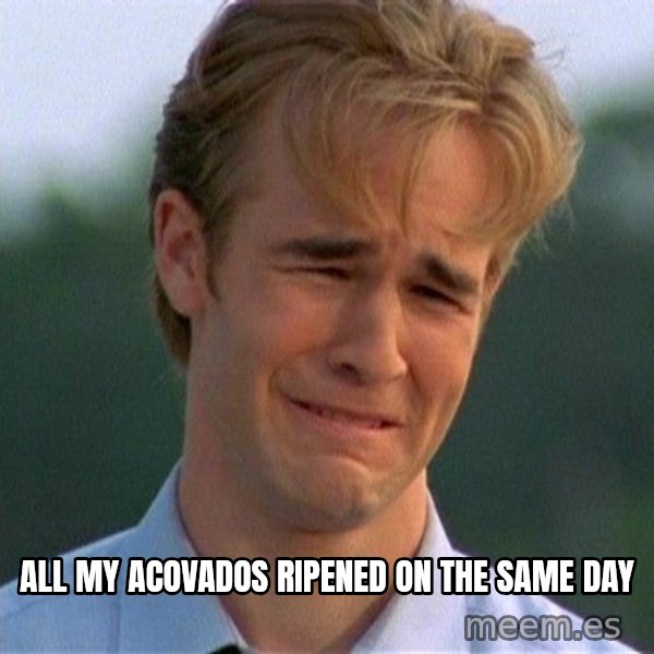 Dawson Crying meme: All my Acovados ripened on the same day