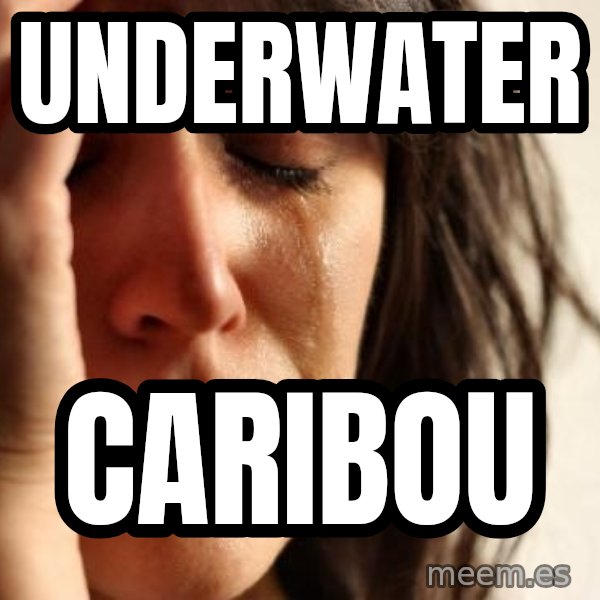 First World Problems meme: UNDERWATER / CARIBOU