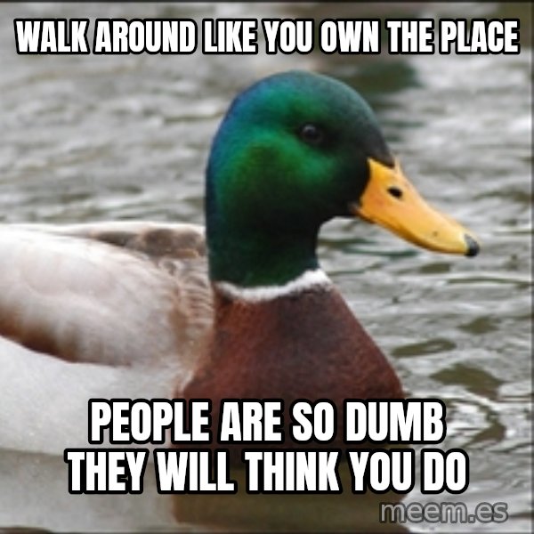 Actual Advice Mallard 1 meme: Walk around like you own the place / people are so dumb they will think you do
