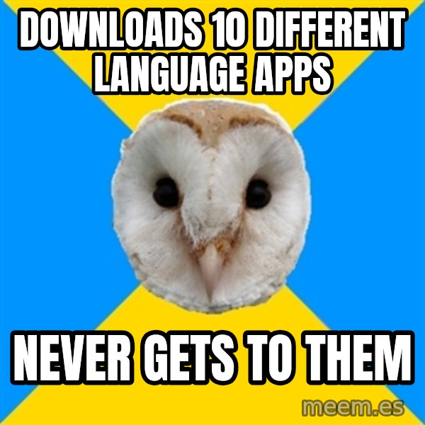 Bipolar Owl meme: downloads 10 different language apps / never gets to them