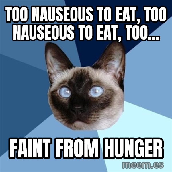 Chronic Illness Cat meme: Too nauseous to eat, too nauseous to eat, too... / faint from hunger