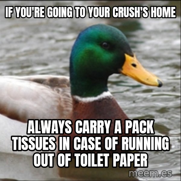 Actual Advice Mallard 1 meme: If you're going to your crush's home / always carry a pack tissues in case of running out of toilet paper