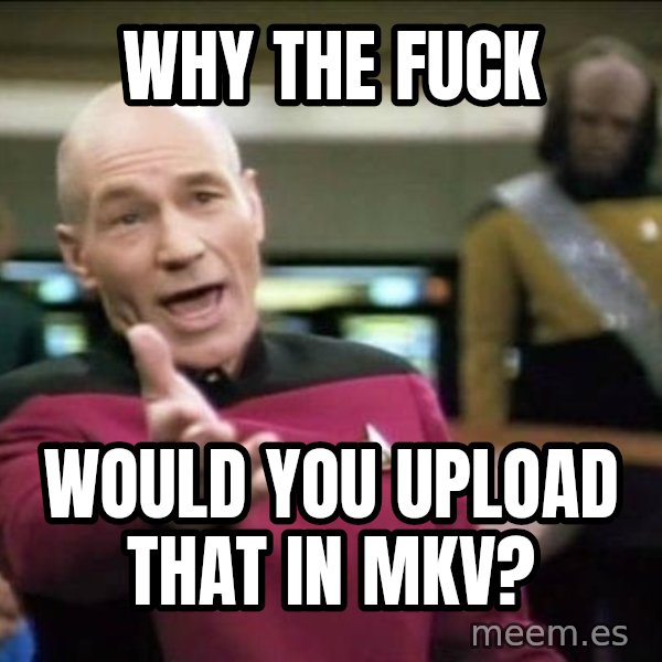 Why the fuck meme: Why the fuck / would you upload that in MKV?