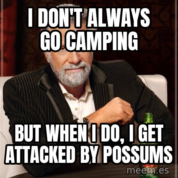 The Most Interesting Man In The World meme: i don't always go camping / but when i do, i get attacked by possums