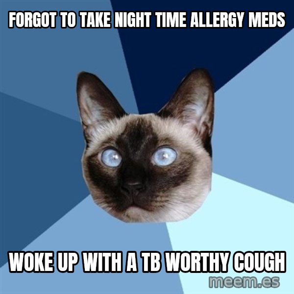 Chronic Illness Cat meme: Forgot to take night time allergy meds / woke up with a TB worthy cough