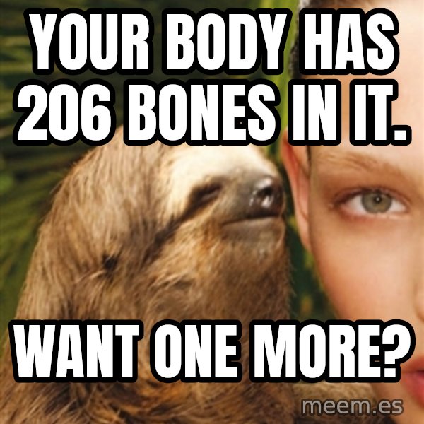The Rape Sloth meme: Your Body has 206 bones in it. / Want one more?
