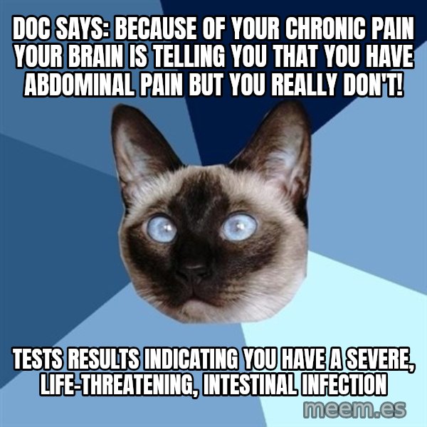 Chronic Illness Cat meme: Doc Says: Because of your chronic pain your brain is telling you that you have abdominal pain but you really don't! / tests results indicating you have a severe, life-threatening, intestinal infection