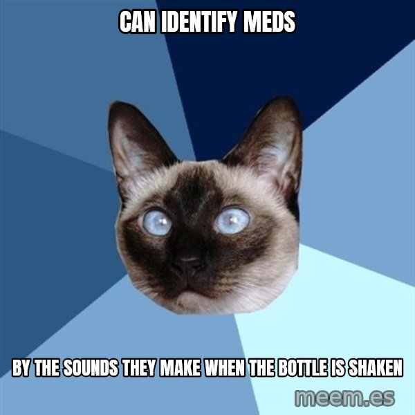 Chronic Illness Cat meme: Can identify meds / by the sounds they make when the bottle is shaken