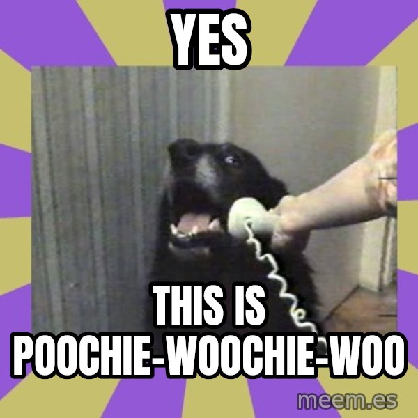 Yes, this is dog! meme: yes / this is poochie-woochie-woo