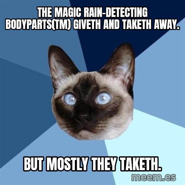 Chronic Illness Cat meme: The Magic Rain-Detecting Bodyparts(tm) giveth and taketh away. / But mostly they taketh.