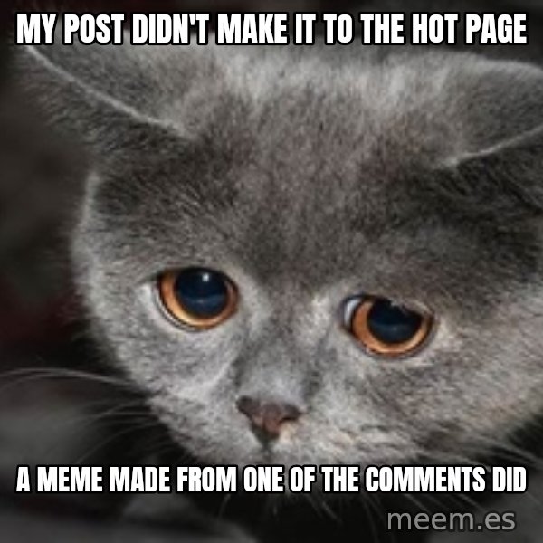 Sadcat meme: My post Didn't make it to the hot page / a meme made from one of the comments did