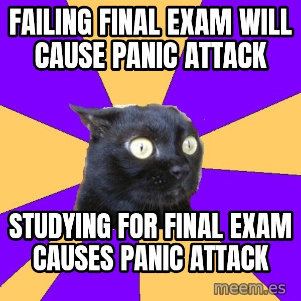 Anxiety Cat meme: Failing Final exam will cause panic attack / studying for Final exam causes panic attack