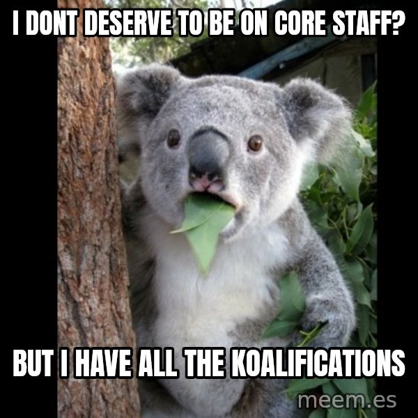 Koala can't believe it meme: i dont deserve to be on core staff? / but i have all the koalifications