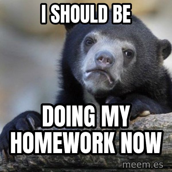 Confession Bear meme: i should be / doing my homework now