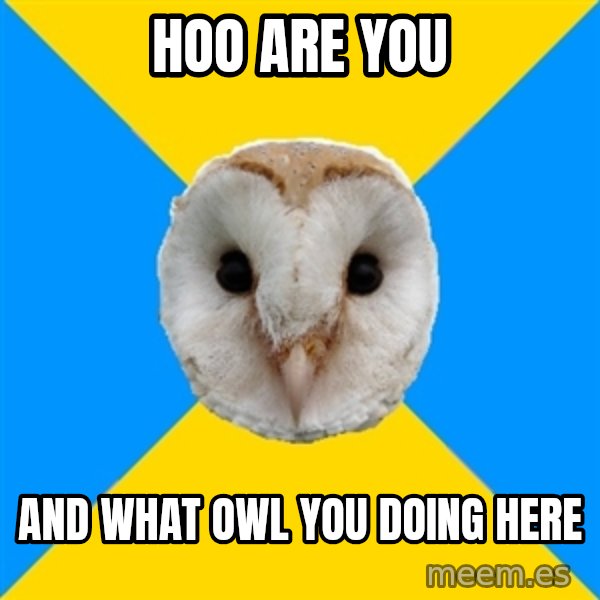 Bipolar Owl meme: hoo are you / and what owl you doing here