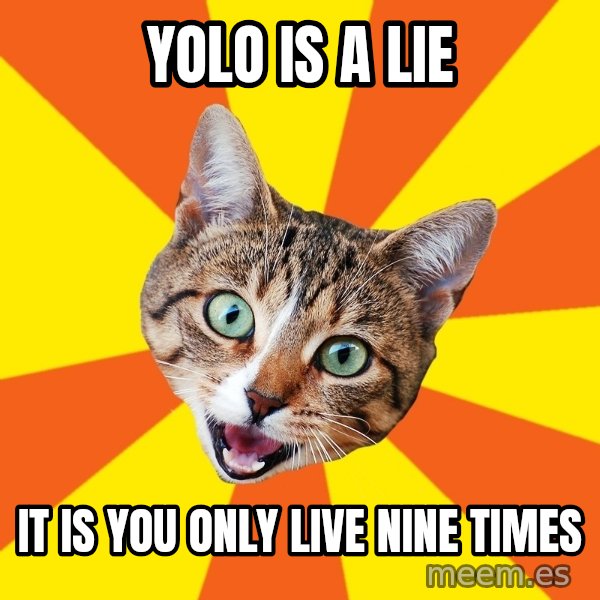 Bad Advice Cat meme: yolo is  a lie / it is you only live nine times