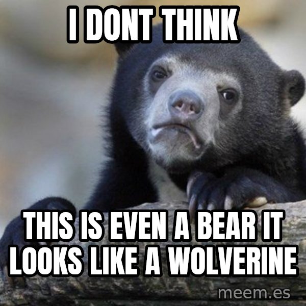 Confession Bear meme: i dont think / this is even a bear it looks like a wolverine