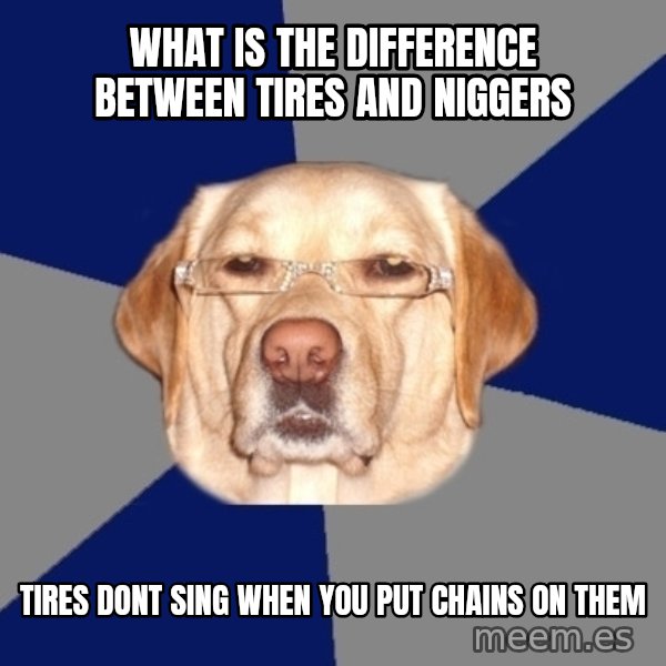 Racist Dog meme: What is the difference between tires and niggers / tires dont sing when you put chains on them