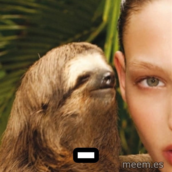 The Rape Sloth meme: _