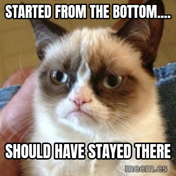 Grumpy Cat  meme: STARTED FROM THE BOTTOM.... / SHOULD HAVE STAYED THERE