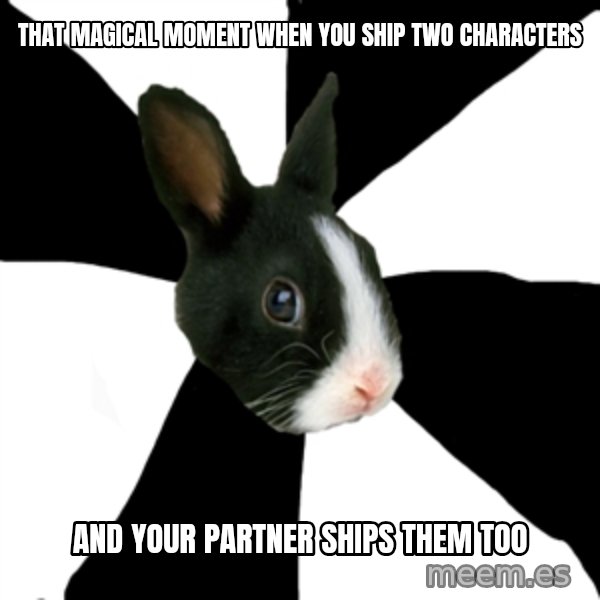Roleplaying Rabbit meme: That magical moment when you ship two characters / and your partner ships them too