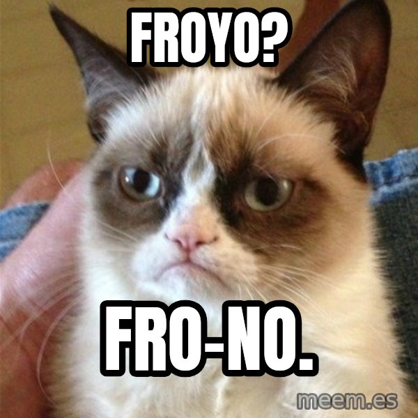 Grumpy Cat  meme: FRoyo? / FRo-no.