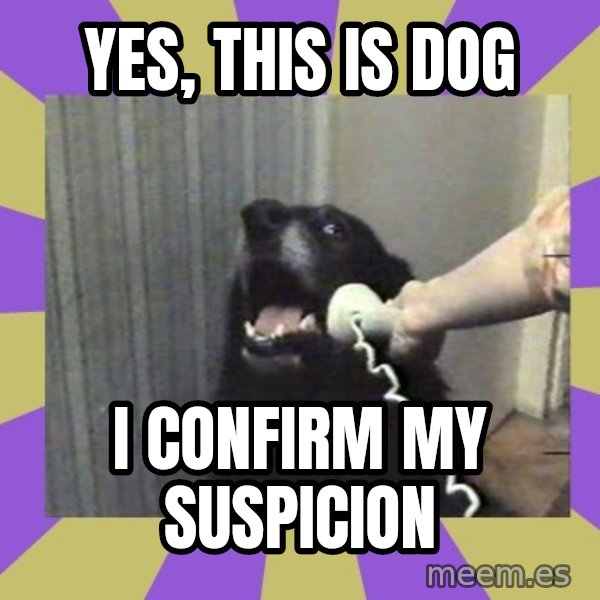 Yes, this is dog! meme: yes, this is dog / i confirm my suspicion