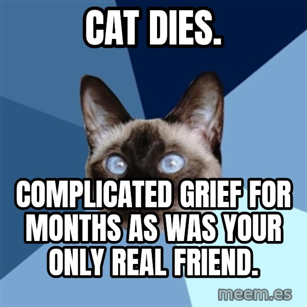 Chronic Illness Cat meme: Cat Dies. / Complicated Grief for months as was your only real friend.