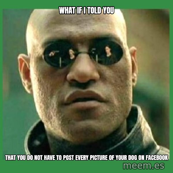Matrix Morpheus meme: WHAT IF I TOLD YOU / tHAT YOU DO NOT HAVE TO POST EVERY PICTURE OF YOUR DOG ON FACEBOOK
