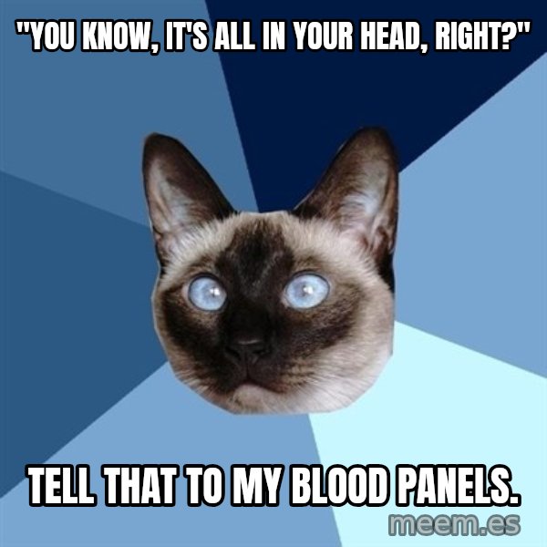 Chronic Illness Cat meme: "you know, it's all in your head, right?" / tell that to my blood panels.