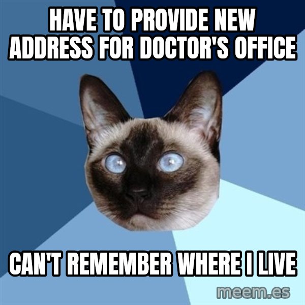 Chronic Illness Cat meme: Have to provide new address for doctor's office / can't remember where I live