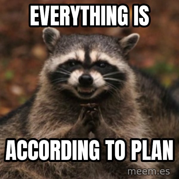 evil raccoon meme: EVERYTHING IS / ACCORDING TO PLAN