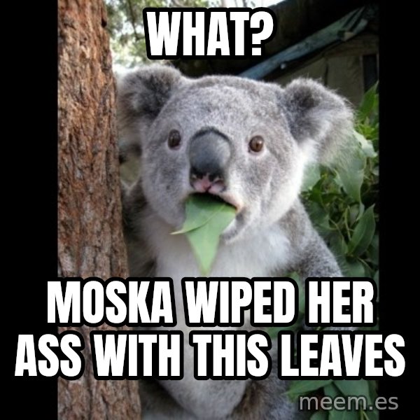 Koala can't believe it meme: what? / moska wiped her ass with this leaves