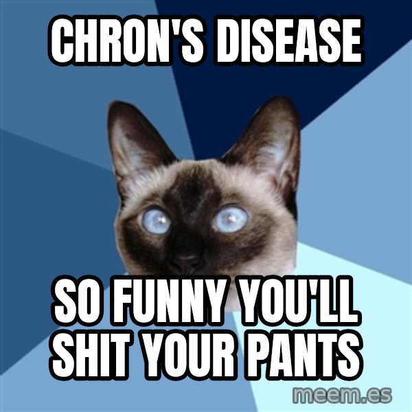 Chronic Illness Cat meme: Chron's disease / so funny you'll shit your pants
