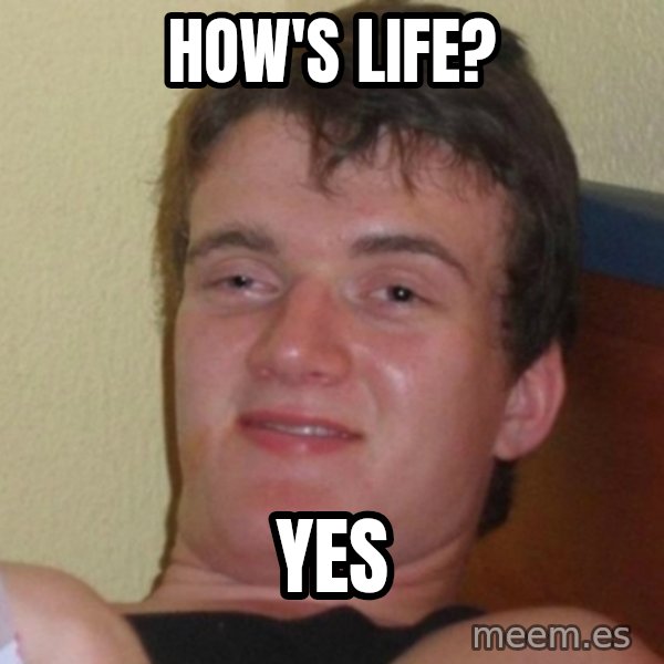 Really Stoned Guy meme: How's life? / yes