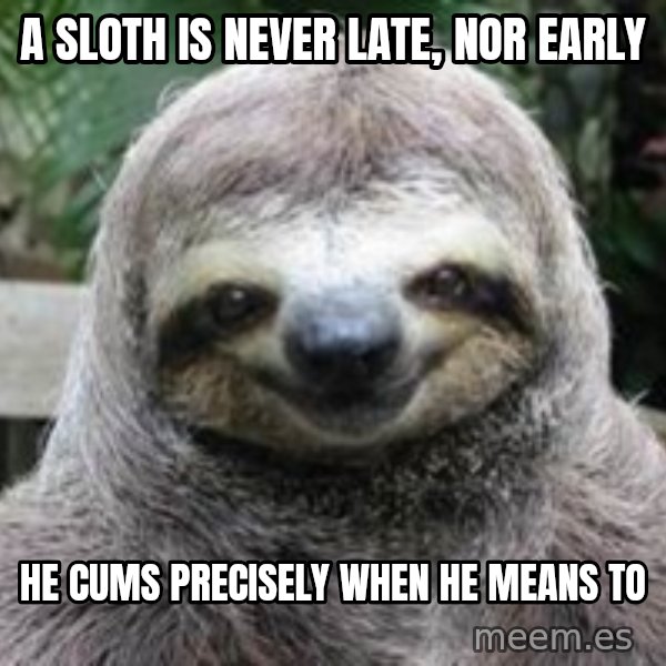 Sexual Sloth meme: A sloth is never late, nor early / he cums precisely when he means to