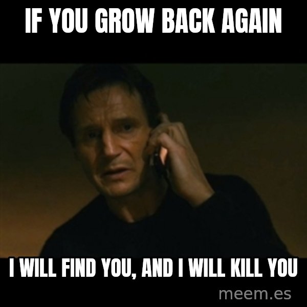 liam neeson taken meme: If you grow back again / I will find you, and i will kill you
